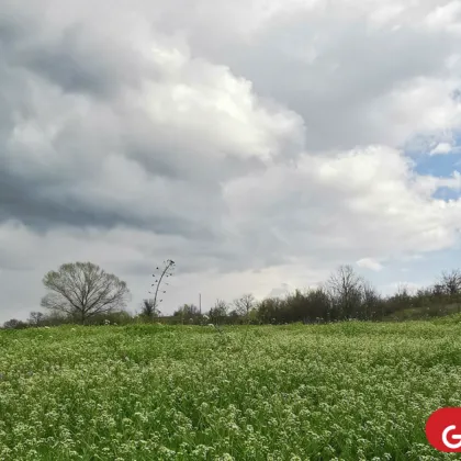 Слънце над страната, но вятърът ще напомни за себе си