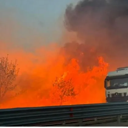Огнен кошмар на АМ Тракия! Пламъците са на метри от аутобана СНИМКА