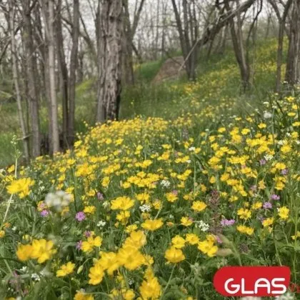 Деца на 4 и 5 години се изгубиха край наше село