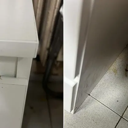 Директор на болница в Стара Загора тръгна "на лов" за хлебарки след сигнал в мрежата СНИМКИ