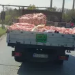 Граждани заснеха нерегламентиран транспорт на СЖП в Русе СНИМКИ