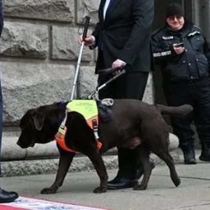 Какво знаем за 241-ят депутат? Кучето  водач Роувър