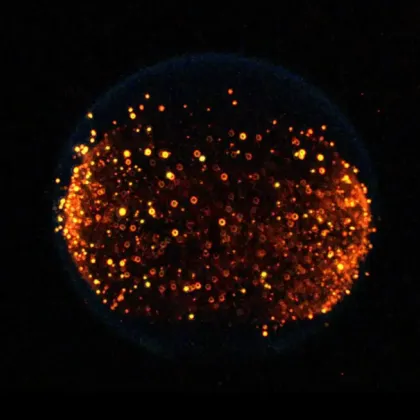 Защо НАСА иска да запали пожар на Луната?