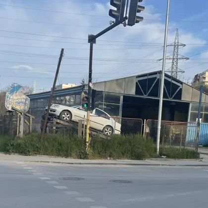 Жена твърди, че кучета от автомивка във Варна са нападнали нея и домашния ѝ любимец