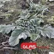 Обявиха жълт код за слани и минусови температури в 6 области