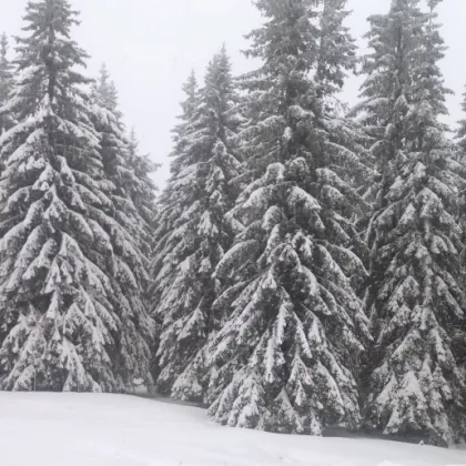 Ето къде натрупа 30 см сняг