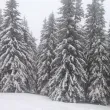 Ето къде натрупа 30 см сняг