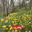 С какво време започва работната седмица