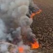 Опасни боеприпаси горят в природен резерват край Берлин