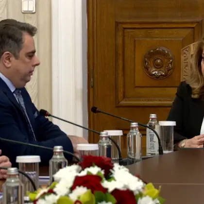 ПП на консултации при президента НА ЖИВО