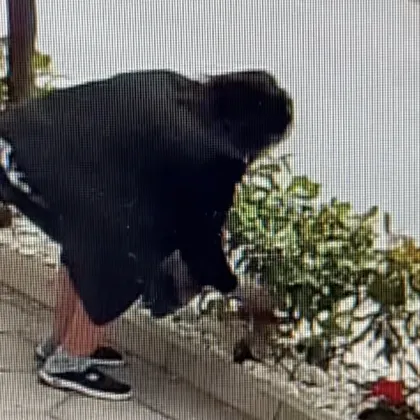 Дама си изкорени букет цветя от чужда градинка за Гергьовден ВИДЕО