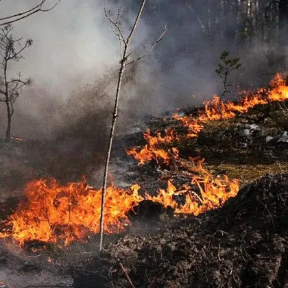 Голям пожар пламна край Чернобилската АЕЦ