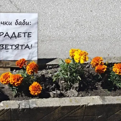Табелка към "баби" предизвика спор в мрежата СНИМКИ