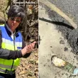 Проверка на ЕЦТП разкри боклуци в настилката на пътя София - Самоков ВИДЕО