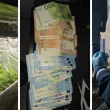 Удар на СДВР: Наркооранжерия, фентанил и десетки дози дрога заляха София СНИМКИ