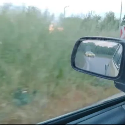 Шофьори алармират за опасно обрасло кръгово в Пловдив ВИДЕО