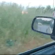 Шофьори алармират за опасно обрасло кръгово в Пловдив ВИДЕО