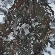 Свлачището край Пампорово не показва признаци на ново движение