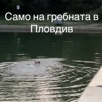 Мъж скочи в Гребната в Пловдив за лайкове ВИДЕО