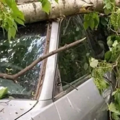 Мощен вятър връхлита България, обявиха жълт код за опасност КАРТА