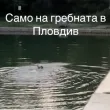 Мъж скочи в Гребната в Пловдив за лайкове ВИДЕО