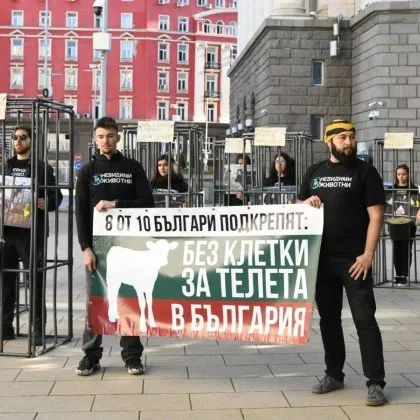 Хора в клетки протестират пред парламента в защита на телетата