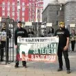 Хора в клетки протестират пред парламента в защита на телетата