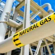 КС обяви за противоконституционни мерките срещу скъпия петрол и газ