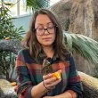 Спасени от контрабанда: Екзотични пеперуди намериха дом в Пловдив ВИДЕО