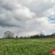 Времето днес: променлива облачност и почти без валежи