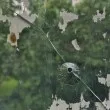 Стреляха със сачми по дома на семейство в София СНИМКИ
