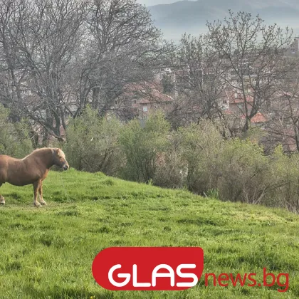 Вятър и краткотрайни бури обхващат страната