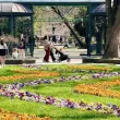 Има ли най-красива градинка в Пловдив? Община Пловдив търси нейния стопанин