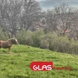 Вятър и краткотрайни бури обхващат страната