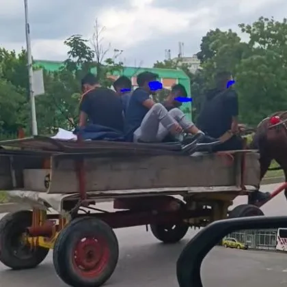 А колани имат ли? Петима с каруца шпорят из Пловдив ВИДЕО