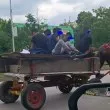 А колани имат ли? Петима с каруца шпорят из Пловдив ВИДЕО