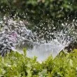 Откраднаха част за 20 евро, щетите по зелените площи са сериозни