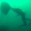 Водолаз откри НЛО в океана, но истината се оказа ужасяваща