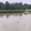 Акция! Дете падна в придошлите води на река край Търново ВИДЕО