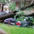 Дърво помля паркирано БМВ СНИМКИ