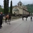 Радостна вест за конете, блокирани в буйните води на Вит СНИМКА