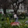 Ето с какво време започва новата седмица