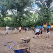 Затворници се включиха в разчистването на щетите от наводненията СНИМКИ