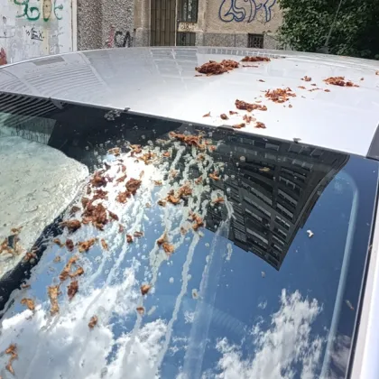 Пореден казус с паркиране в столицата предизвика остра дискусия в