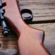 Куче простреля жена с пушка