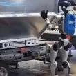 Роботи тръгват на работа на летище в Токио ВИДЕО