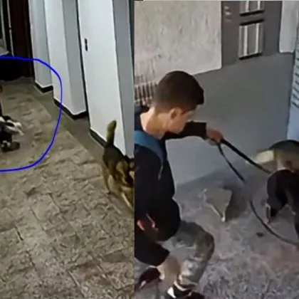 Кошмар в София! Мъж седи върху кучето си, докато чака - засипа го с удари ВИДЕО