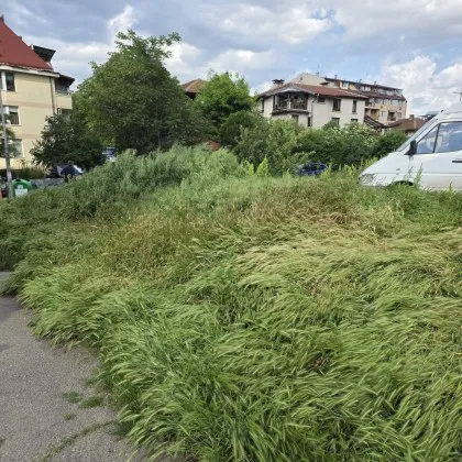 "Люлиновата джунгла": Тревата в Люлин е по-висока от жителите