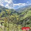 Ето какво време ни очаква на Черешова задушница