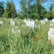 Оплакаха се от състояние на гробищен парк на Черешова задушница СНИМКА